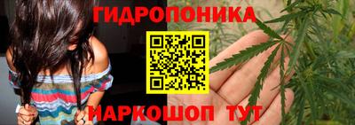 ГАЛЛЮЦИНОГЕННЫЕ ГРИБЫ Малгобек