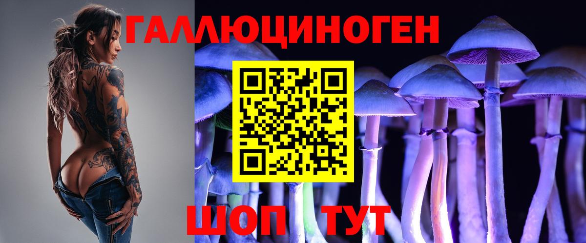 Галлюциногенные грибы MAGIC MUSHROOMS  Вход с VPN  купить закладку  Домодедово  Галлюциногенные грибы Psilocybe 